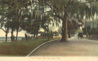 Trees in the road on Front Street