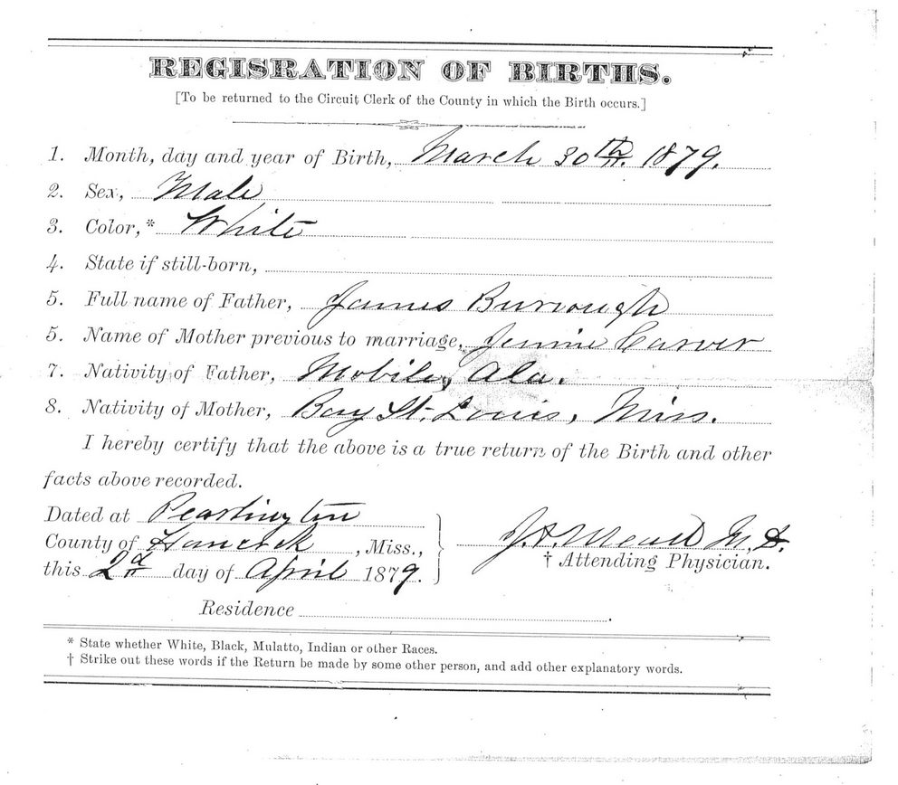 Vertical Files - Deaths And Births 1879 To 1880 - Births-(44) - Hancock ...